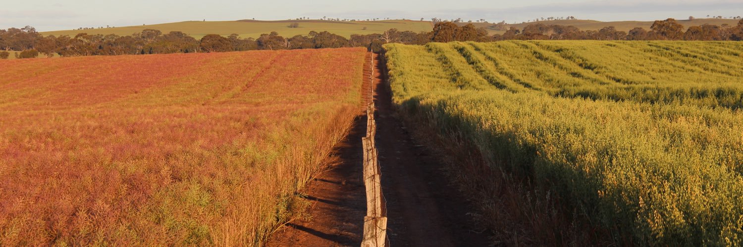 nihill53's profile banner image