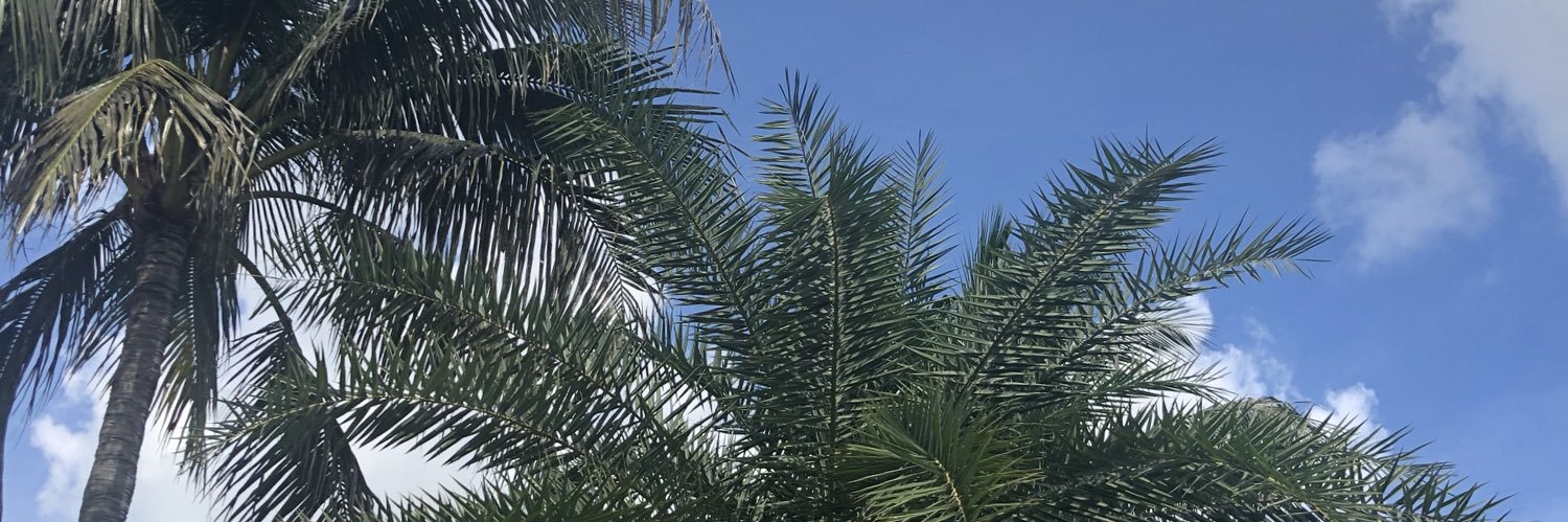 krp30's profile banner image