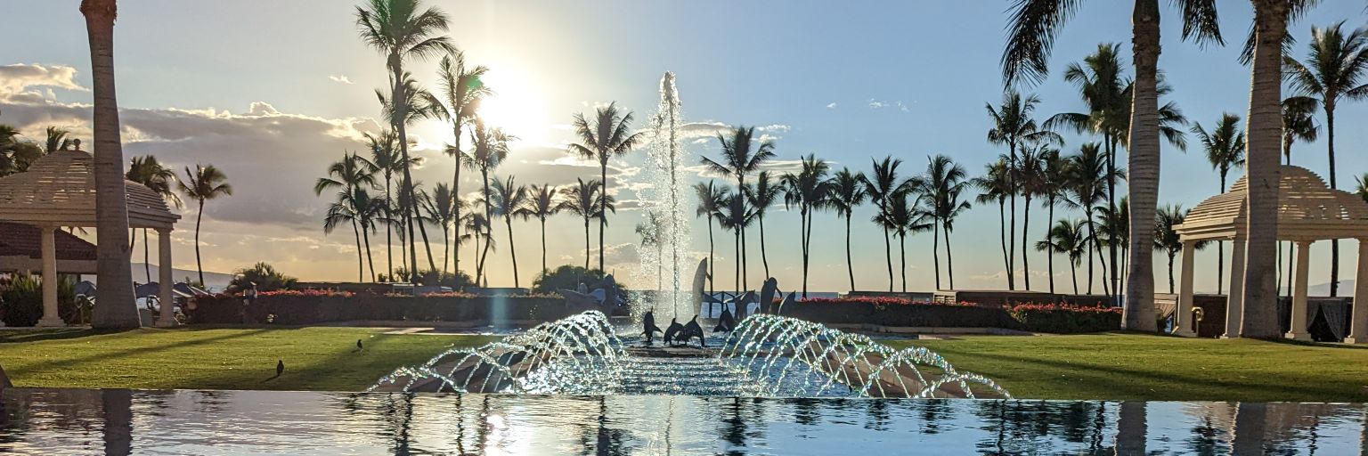 Nicholas Gray banner