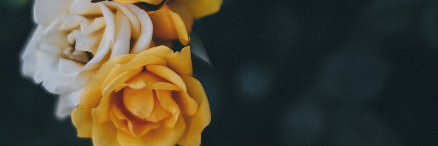 rudel_90's profile banner image