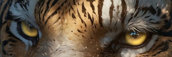 XzeVaim2 Profile Banner