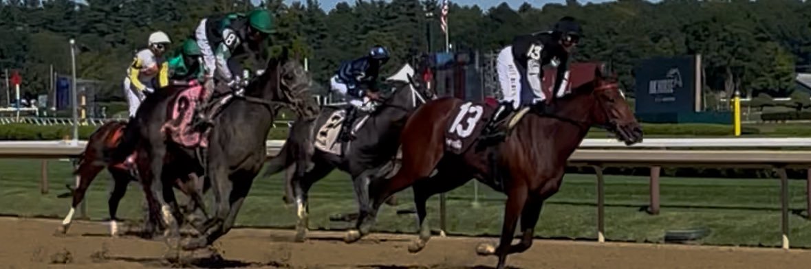 Wadhams_Stable's profile banner image