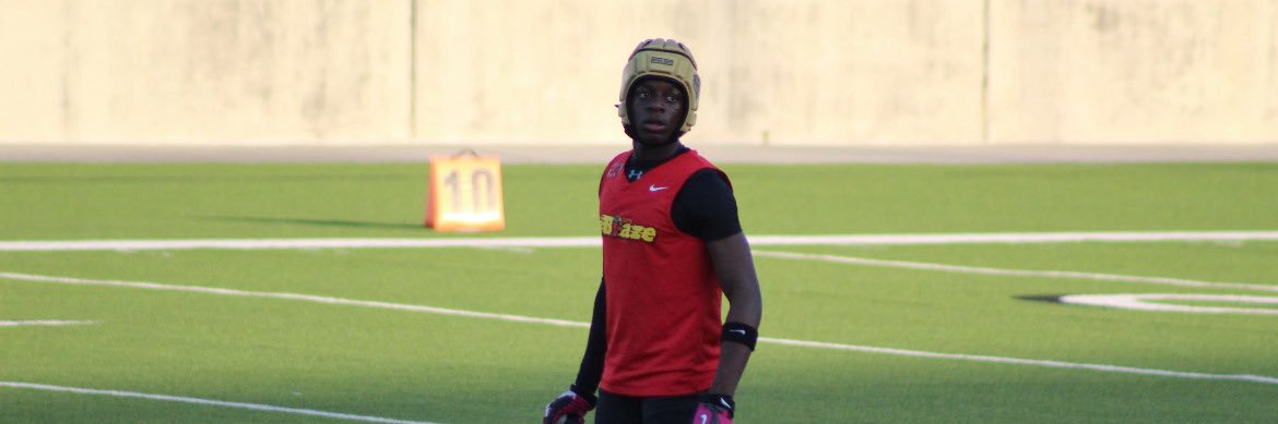 Tylin Merriweather banner