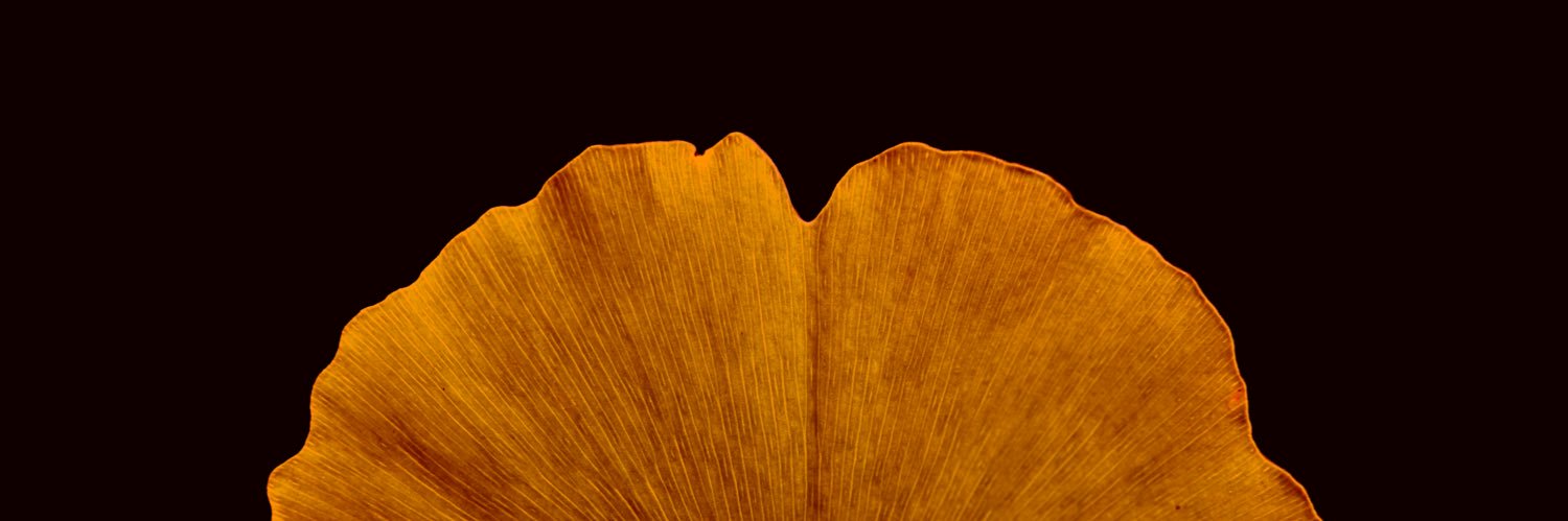 Jonatan Castro banner