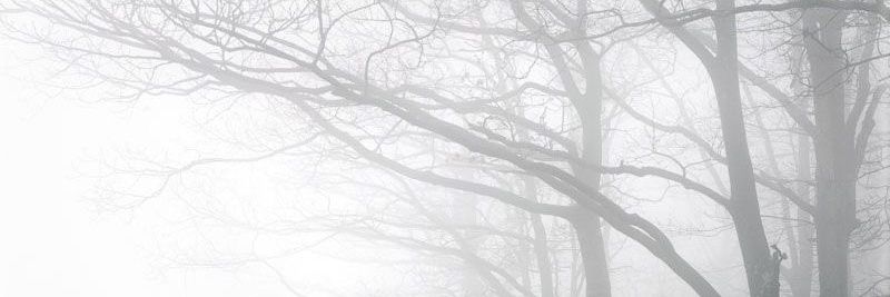 Lilith banner