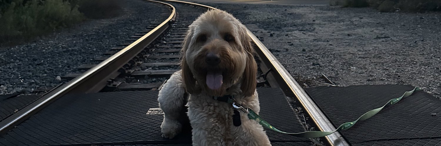 Michael Sullivan banner