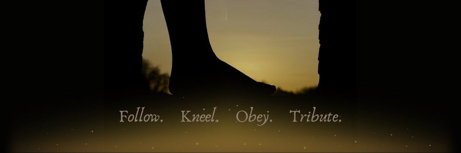 BellatrixSoles's profile banner image