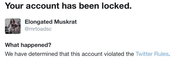 mrtoadsc Profile Banner