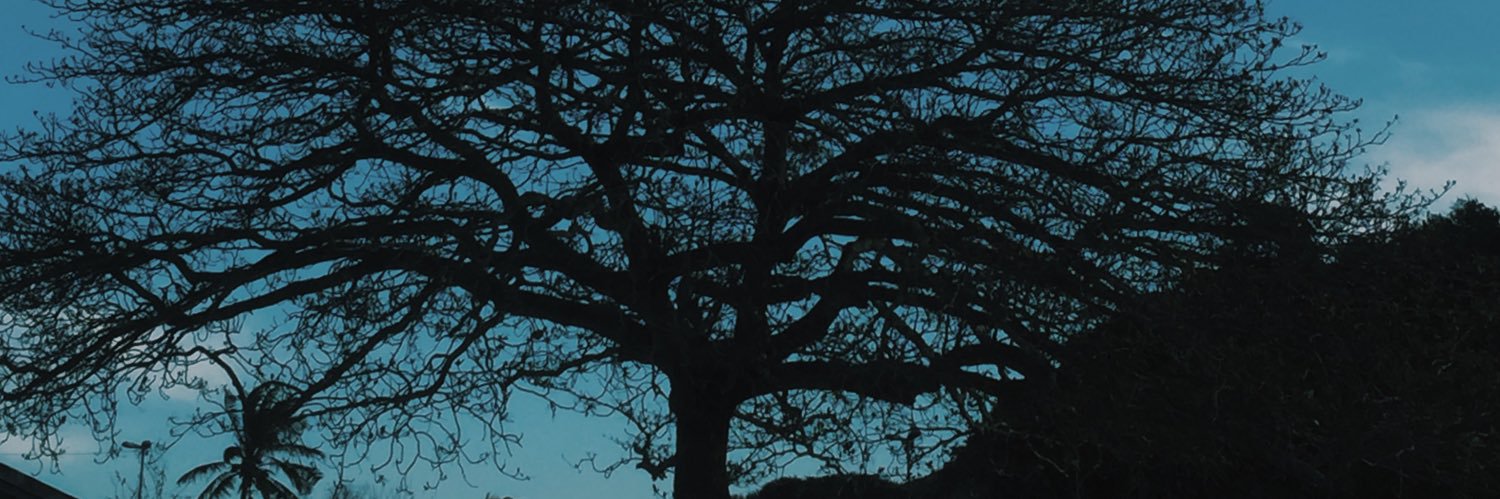 JoelrMendes's profile banner image