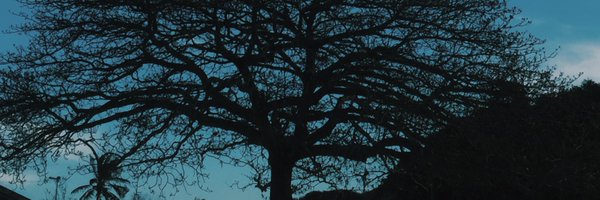 JoelrMendes Profile Banner