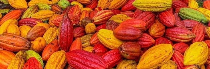 SweetsoilCocoa's profile banner image