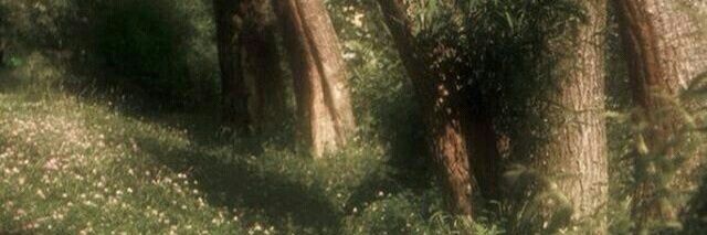gatofomano's profile banner image
