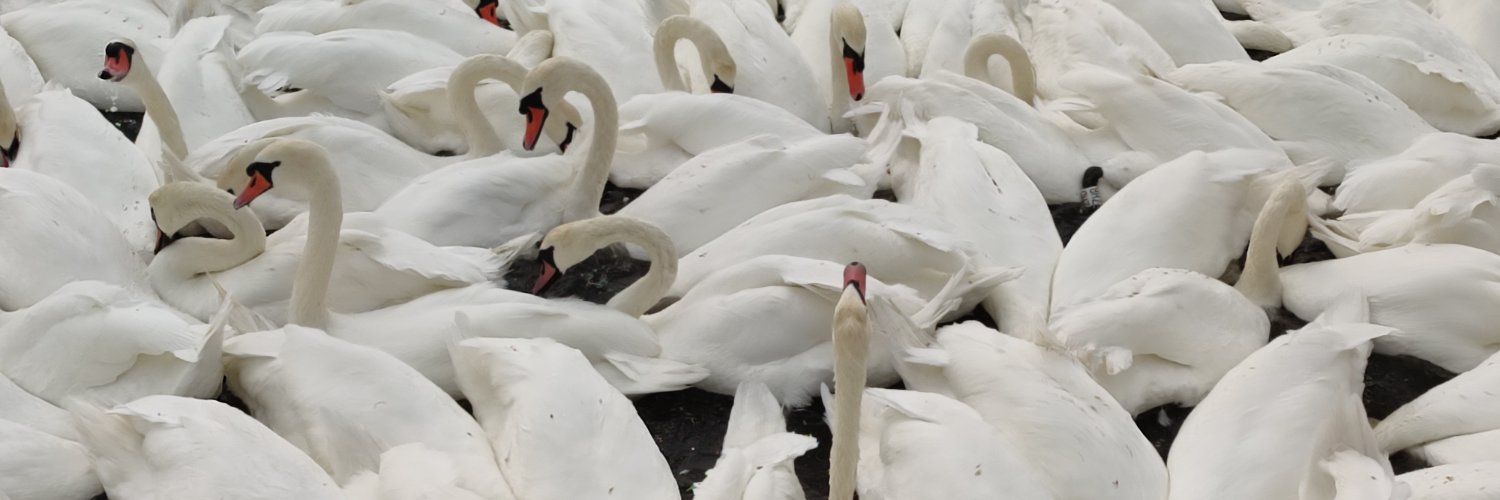 Sean Carpenter banner