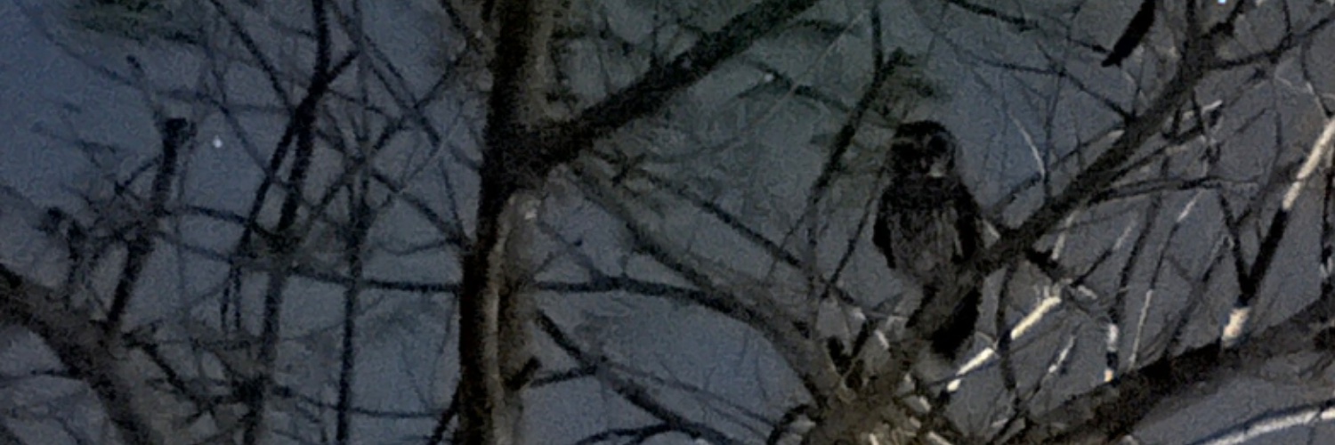 mimi banner