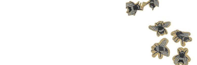 L̶I̶T̶T̶L̶E̶ ̶E̶L̶L̶I̶O̶T̶. banner