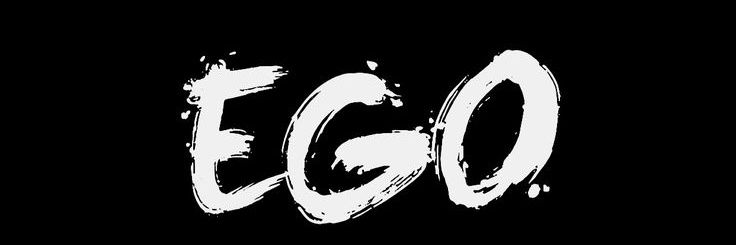 MR HARRY (FX) banner