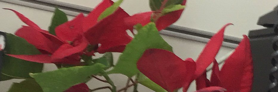 Royalmohd11's profile banner image
