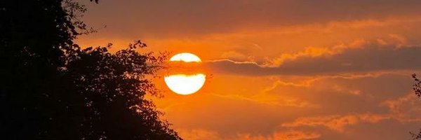 twilighttapestr Profile Banner