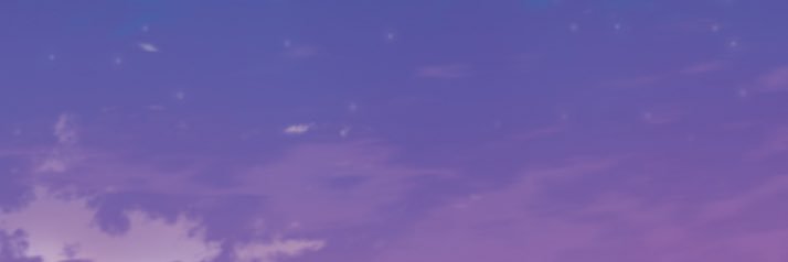 Leo banner