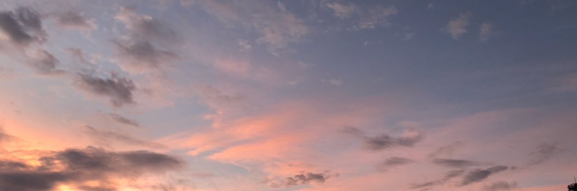 らたと🐾ケモエレ banner