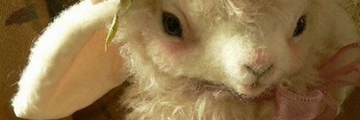 HelokityTA's profile banner image
