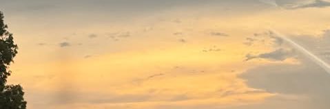 ซาลามา banner