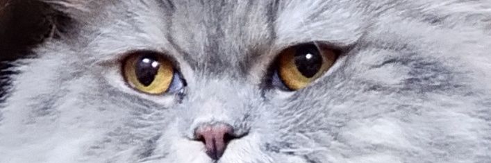 aljware88's profile banner image