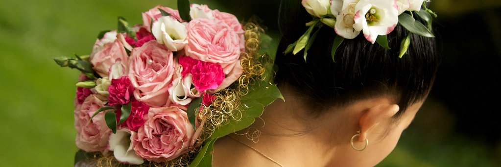 OpenLensPhotos's profile banner image
