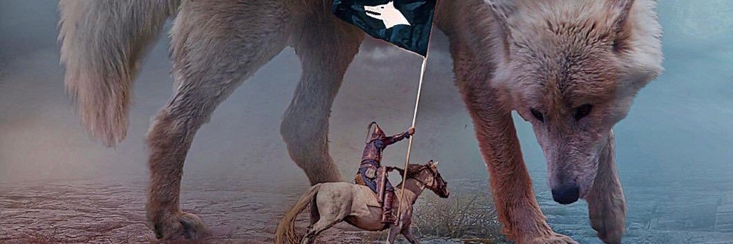 fatihergel's profile banner image