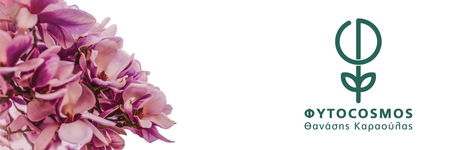 Fytocosmos's profile banner image
