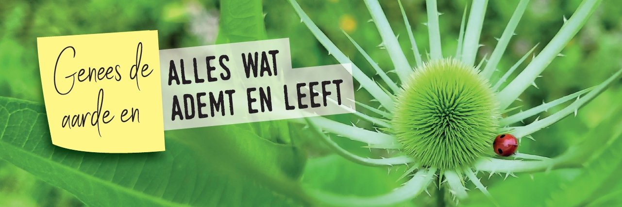 Ecokerk's profile banner image