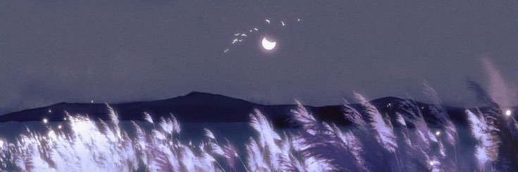 Onthe_heights's profile banner image