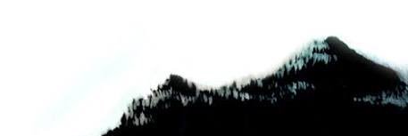 forest1226mori's profile banner image