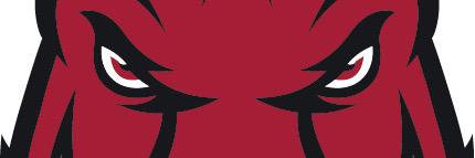 playnskillz12's profile banner image