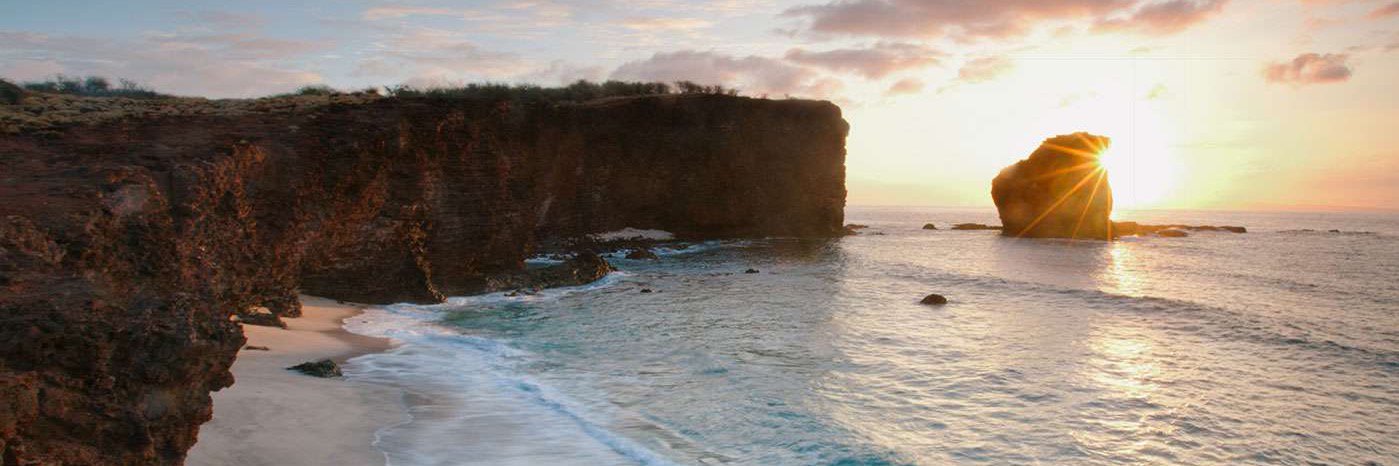 GraceLinChen's profile banner image