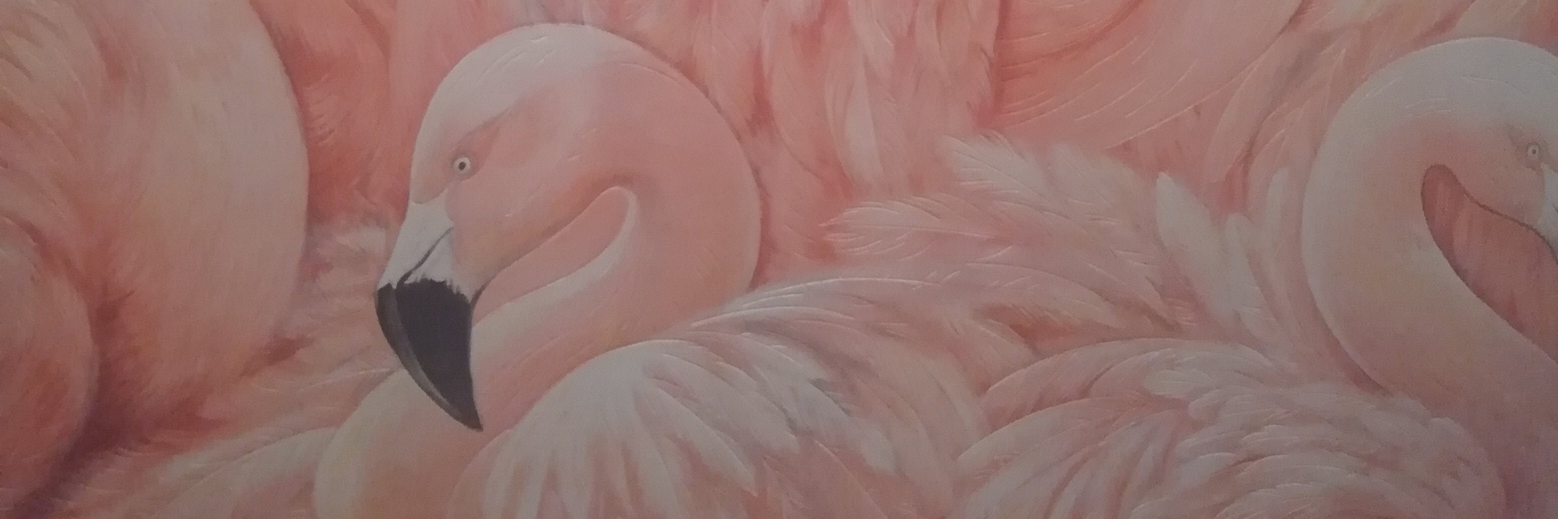 HayleyTaylorCox's profile banner image