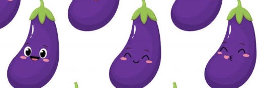 ﾅｽﾃﾝ banner