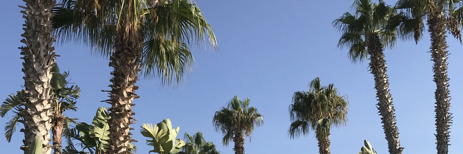 inès 🇧🇷 banner