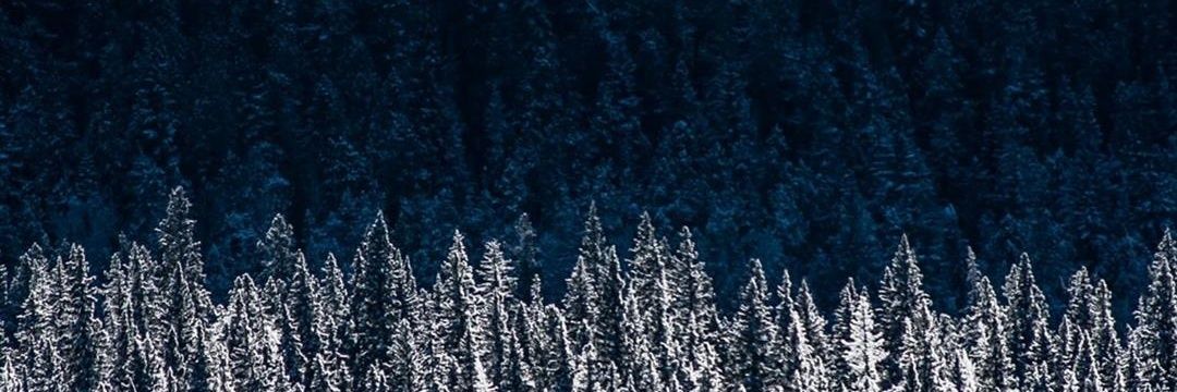 The_Jannick's profile banner image