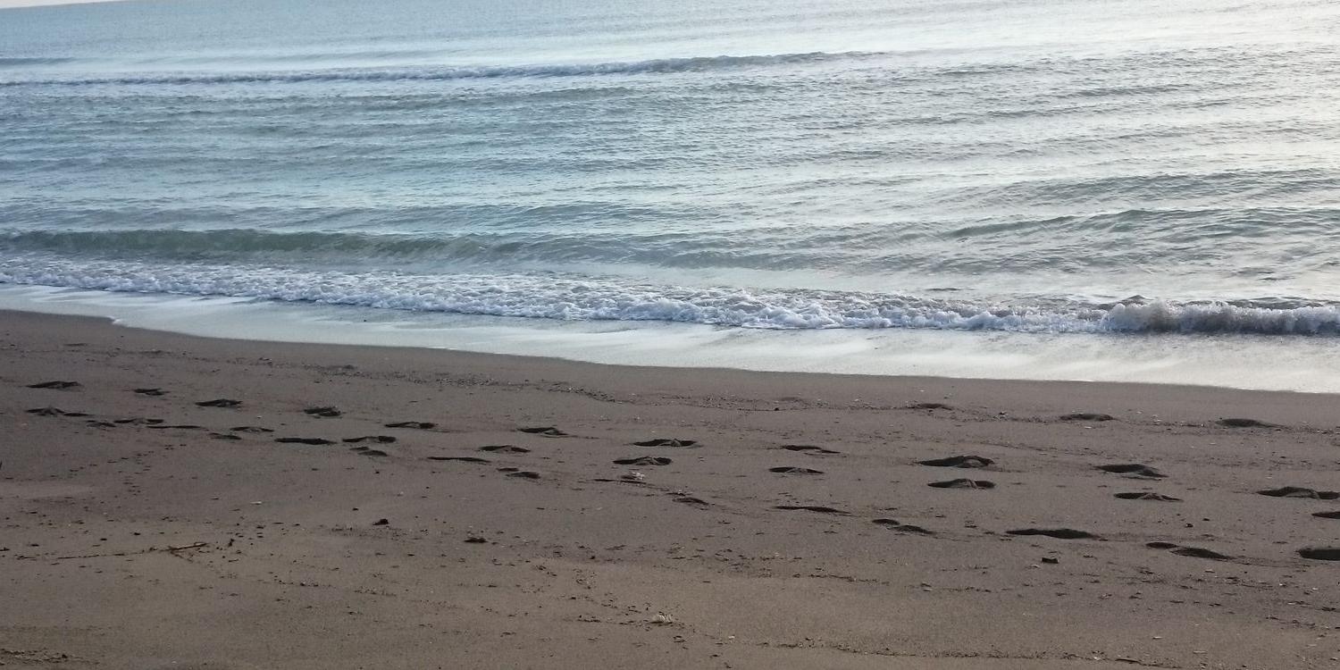 hellybean1979's profile banner image