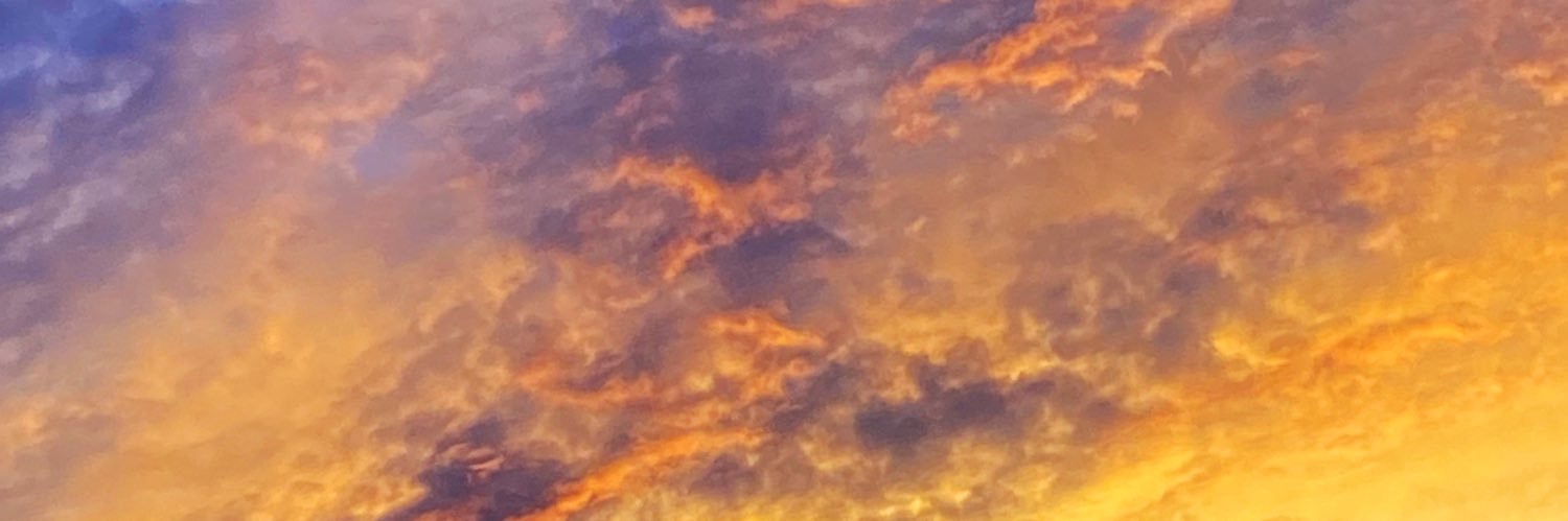 violapolt's profile banner image