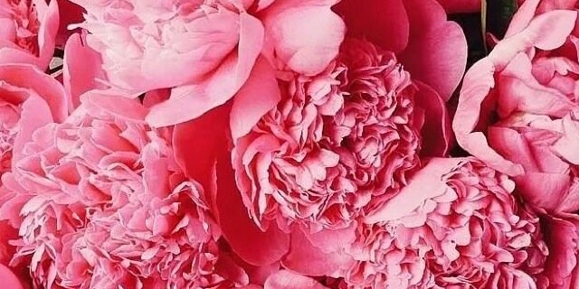 CourtneyW2's profile banner image