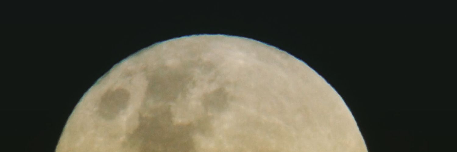 Jesuspellecchia's profile banner image