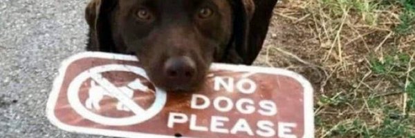 SkylarJ2007 Profile Banner