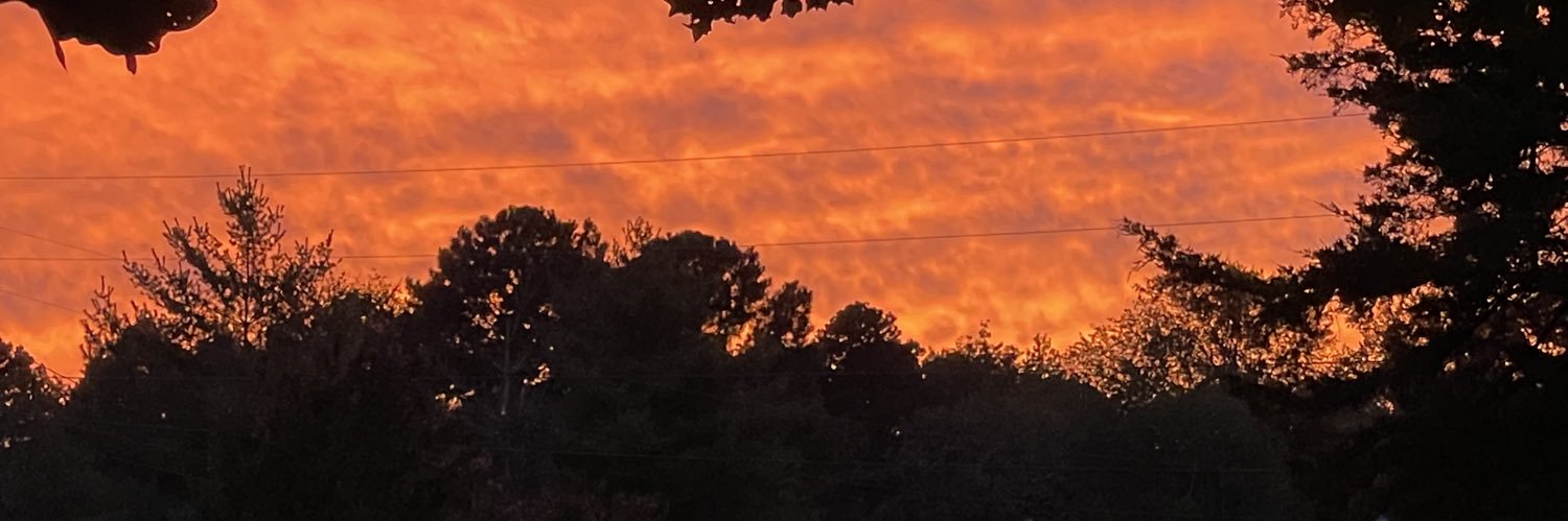 AshleyMcatee's profile banner image