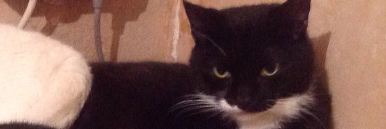 9Muscateers's profile banner image