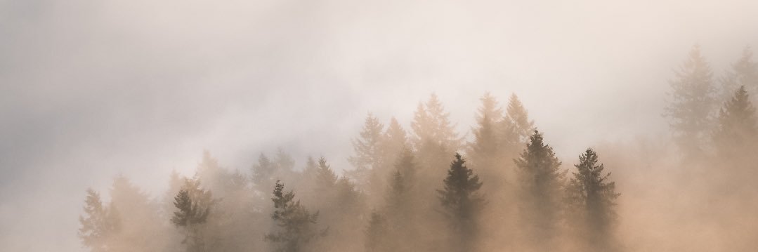 eddcope's profile banner image