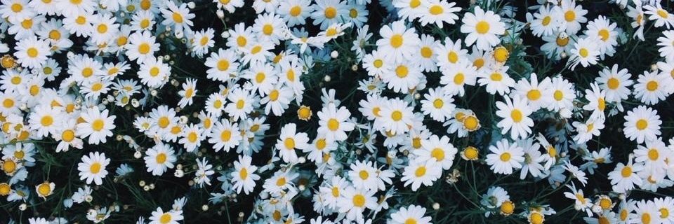 SoffBlablabla's profile banner image