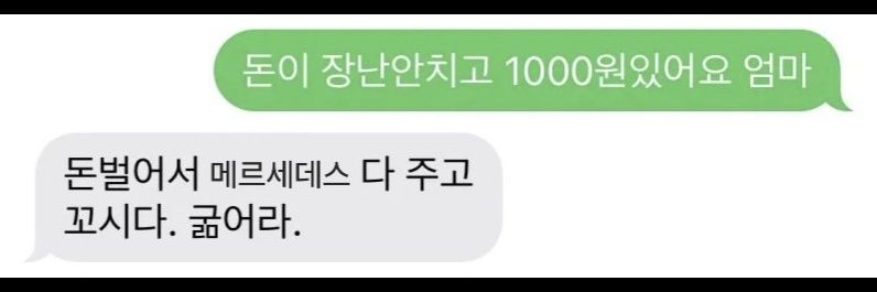 개미관찰키트🤙 banner