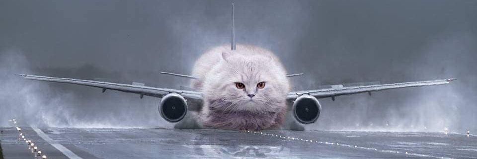 _fidauddin's profile banner image